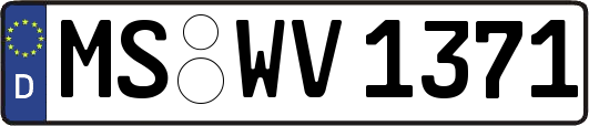 MS-WV1371