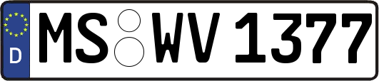 MS-WV1377