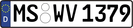 MS-WV1379