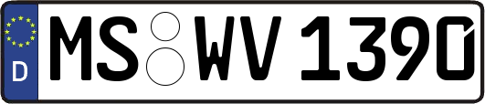 MS-WV1390