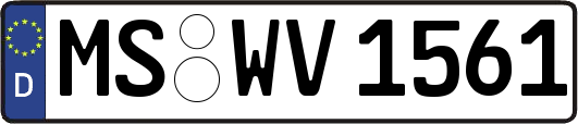 MS-WV1561