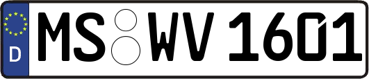 MS-WV1601