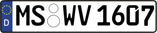 MS-WV1607