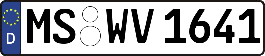 MS-WV1641