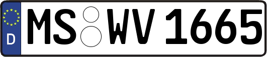 MS-WV1665