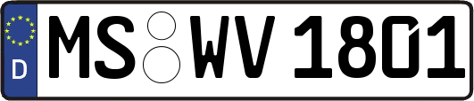 MS-WV1801