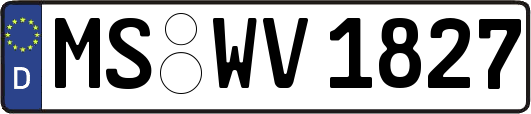 MS-WV1827