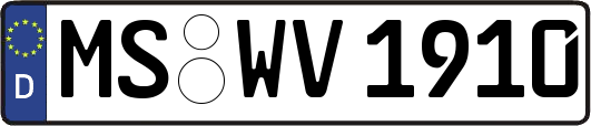 MS-WV1910