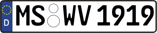 MS-WV1919