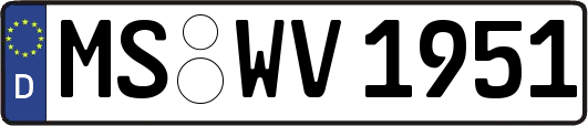 MS-WV1951