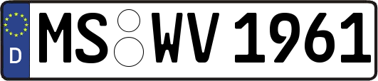 MS-WV1961