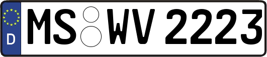 MS-WV2223