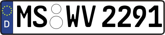 MS-WV2291