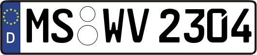 MS-WV2304