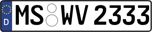 MS-WV2333