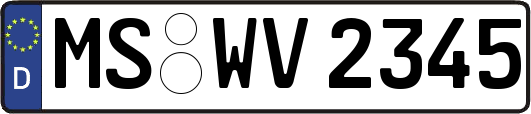 MS-WV2345