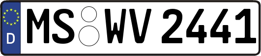 MS-WV2441