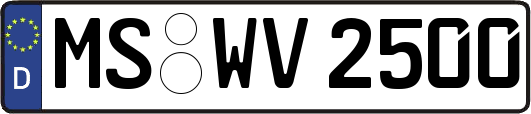 MS-WV2500