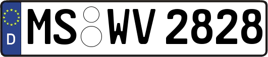 MS-WV2828
