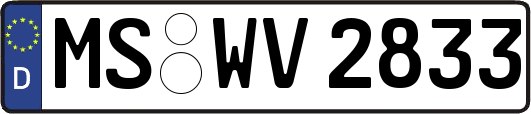 MS-WV2833