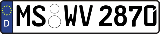 MS-WV2870