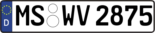 MS-WV2875
