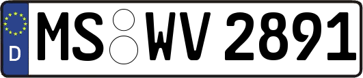 MS-WV2891