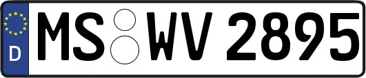 MS-WV2895