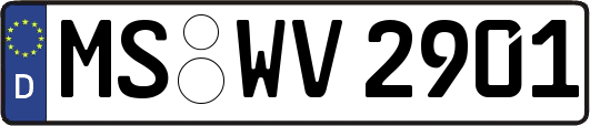 MS-WV2901