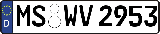 MS-WV2953