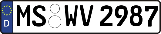 MS-WV2987