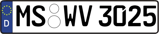 MS-WV3025
