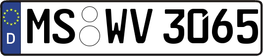MS-WV3065