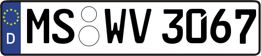 MS-WV3067
