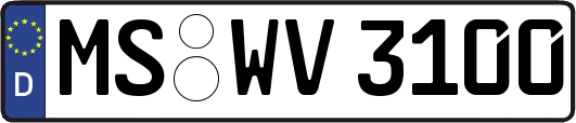 MS-WV3100