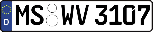 MS-WV3107