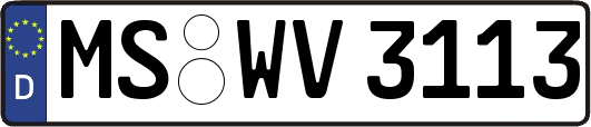MS-WV3113