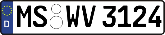 MS-WV3124