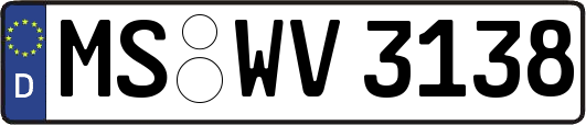 MS-WV3138