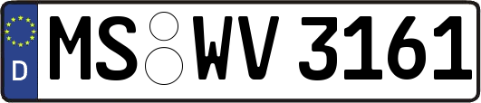 MS-WV3161