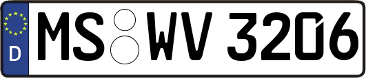 MS-WV3206