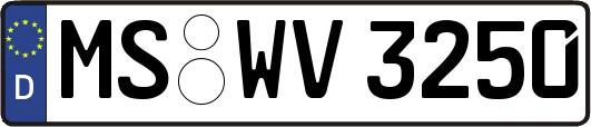 MS-WV3250