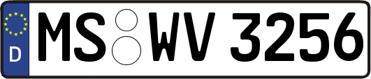 MS-WV3256