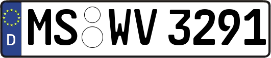 MS-WV3291