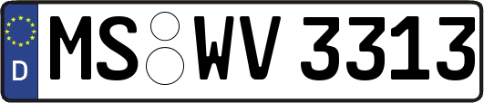 MS-WV3313