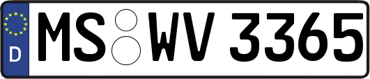 MS-WV3365