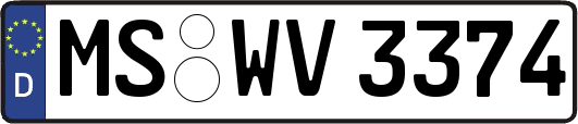 MS-WV3374