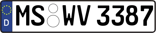 MS-WV3387