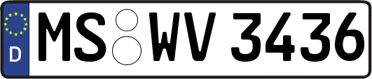 MS-WV3436