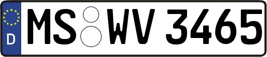 MS-WV3465